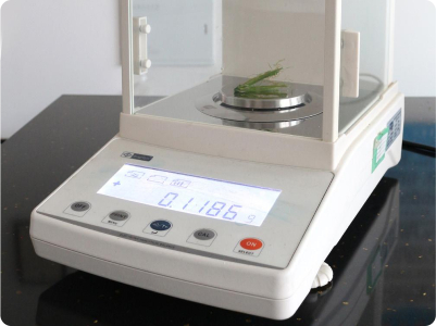 Laboratorio