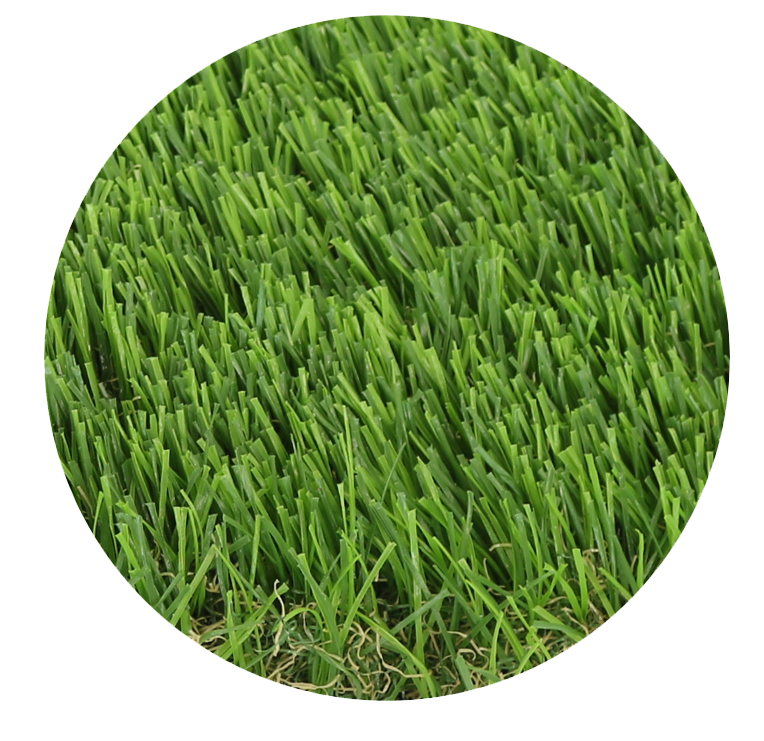 消光图片2特写.png